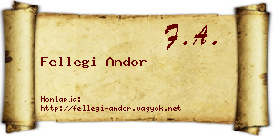 Fellegi Andor névjegykártya